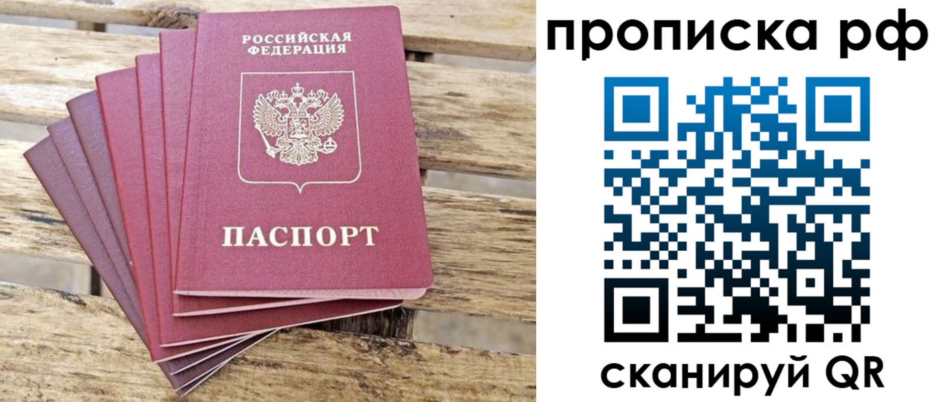прописка гарантия в Кировске